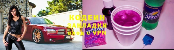 шишки Верея