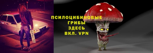 шишки Верея