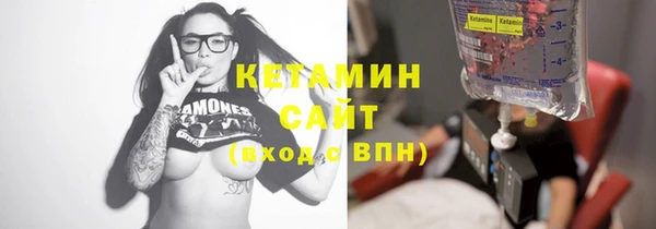 шишки Верея
