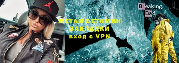 шишки Верея