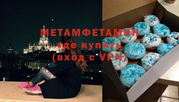 шишки Верея