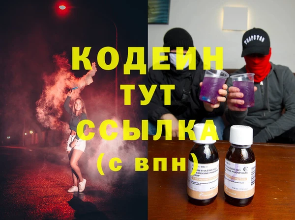 шишки Верея