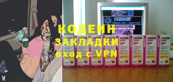 шишки Верея