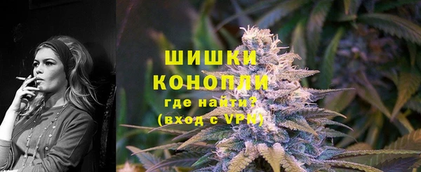 шишки Верея