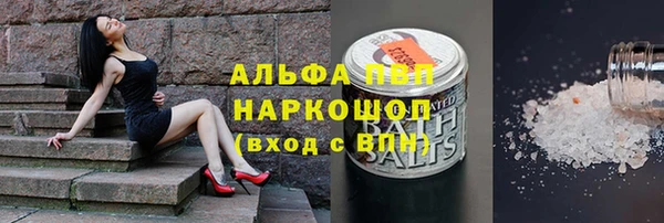 шишки Верея