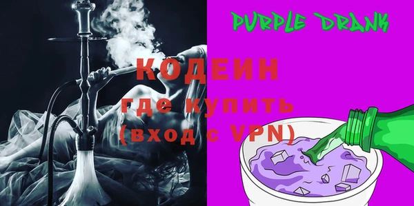 шишки Верея