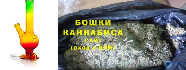 шишки Верея