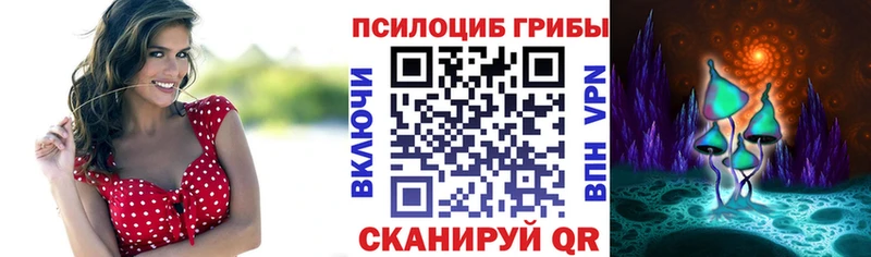 Галлюциногенные грибы Psilocybe  хочу   Кущёвская 