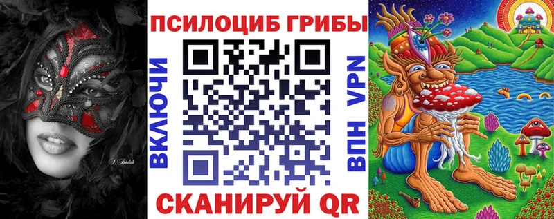 Псилоцибиновые грибы мицелий Кущёвская